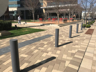 Bollards and trees